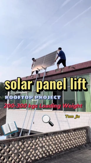 Solarpanel-Leiteraufzug, 6 m, 20 Fuß, elektrischer Lastenaufzug für die Installation von PV-Modulen